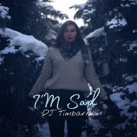 Скачать песню DJ Timbark - I'M Sad