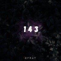 Скачать песню Efrat - 143