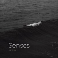 Скачать песню REA4E - Senses