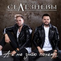 Скачать песню Игорь и Стас Селезнёвы - А я не знаю почему...