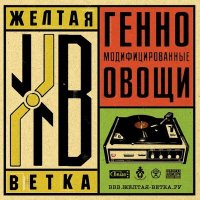 Скачать песню Жёлтая Ветка - Опять дорога