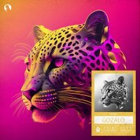 Скачать песню Nivek - Gozalo