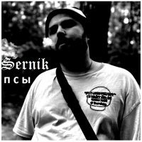 Скачать песню SerNik - Псы