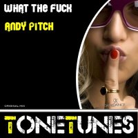 Скачать песню Andy Pitch - What The Fuck