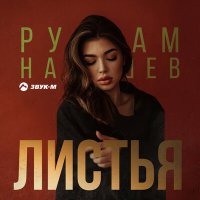 Скачать песню Рустам Нахушев - Листья