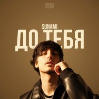 Скачать песню SUNAMI - До тебя