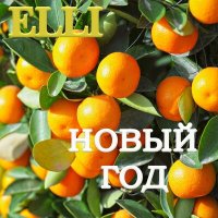 Скачать песню ELLI - Новый год