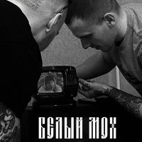 Скачать песню Camouflage - Белый мох