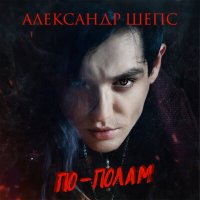 Скачать песню Александр Шепс - По-полам