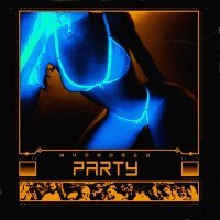 Скачать песню WVOROBEY - PARTY