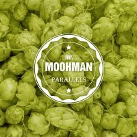 Скачать песню Mr. Moohman - Parallels