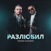 Скачать песню Teddee & Rameed - Разлюбил