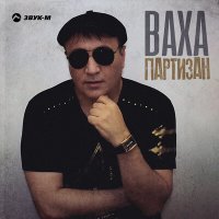 Скачать песню ВАХА - Партизан