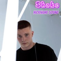 Скачать песню nickname sound - Shake