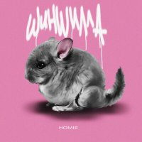 Скачать песню HOMIE - Шиншилла