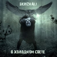 Скачать песню Skrizhali - Не возвращайся по следам