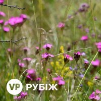 Скачать песню VP - Рубіж