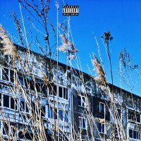 Скачать песню Крик цикад, Deep Ku$h - Джоинт