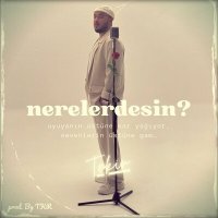 Скачать песню Tekir - Nerelerdesin?
