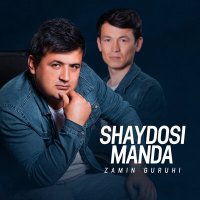 Скачать песню Zamin guruhi - Shaydosi manda