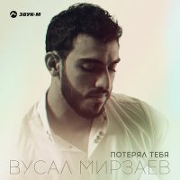 Скачать песню Вусал Мирзаев - Потерял тебя