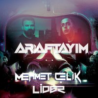 Скачать песню Mehmet Çelik, Lider - Araftayım