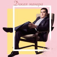 Скачать песню Нурлан Тукенов - Дикая манера