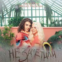 Скачать песню Настя Кош, Макар Карелин - Не заметили