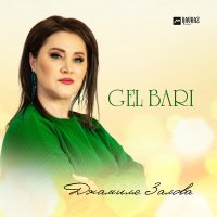 Скачать песню Джамиля Залова - Gel bari