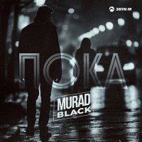 Скачать песню Murad Black - Пока