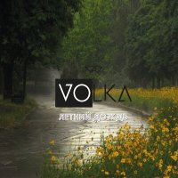 Скачать песню Volka - Летний дождь