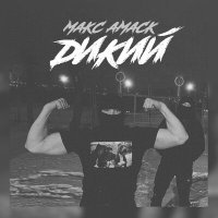 Скачать песню Макс Амаск - Дикий