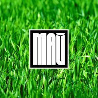 Скачать песню Аркадий Сброд - Май