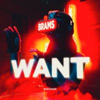 Скачать песню Brams - Want