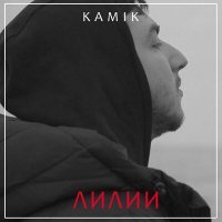 Скачать песню Kamik - Лилии