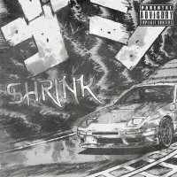 Скачать песню SH3XWILL - SHRINK