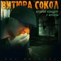 Скачать песню Вис Виталис - Сокольники