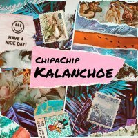 Скачать песню ChipaChip - Kalanchoe