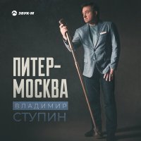 Скачать песню Владимир Ступин - Питер - Москва