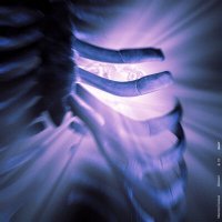 Скачать песню Максим Синиця - Діамант