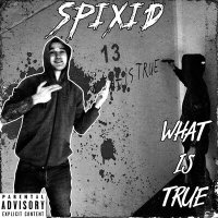 Скачать песню SPIXID - What Is True