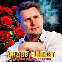 Скачать песню Андрей Шпехт - Ты меня ждала