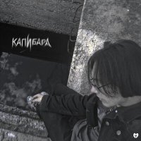 Скачать песню Slvtn - Капибара