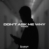 Скачать песню Fandi - Don't Ask Me Why