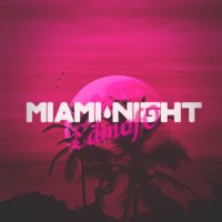 Скачать песню Edmofo - Miami Night