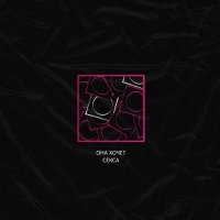 Скачать песню i22_ice - Она хочет секса