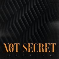 Скачать песню Goodiny - Not Secret