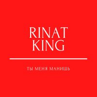 Скачать песню Rinat King - Ты меня манишь