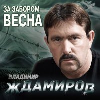 Скачать песню Владимир Ждамиров - Этап