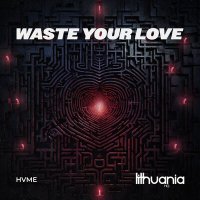 Скачать песню HVME - Waste Your Love